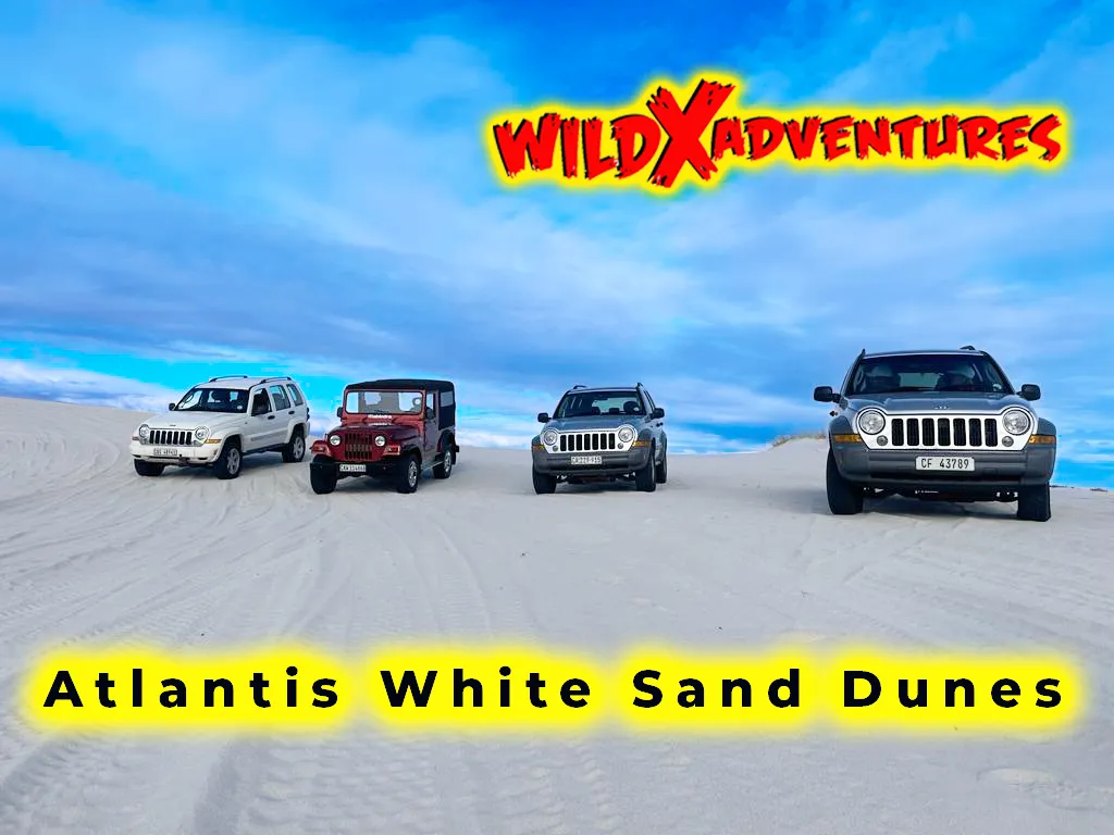 Activity Combo: Jeep 4x4 Tour, Quad Biking & Glam Sandboarding for 1, 2, 4 or 6