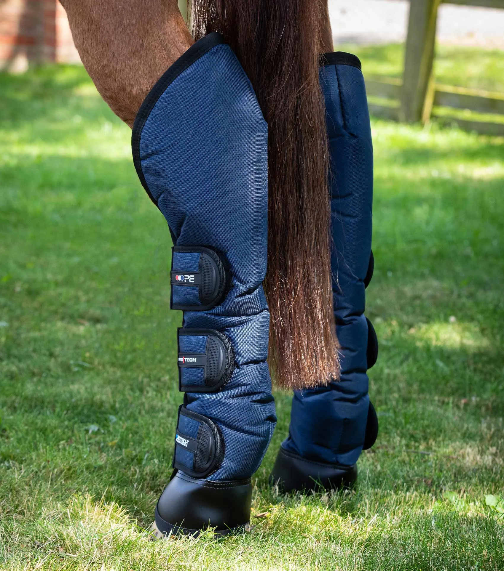 Ballistic Knee Pro-Tech Horse Travel Boots Navy