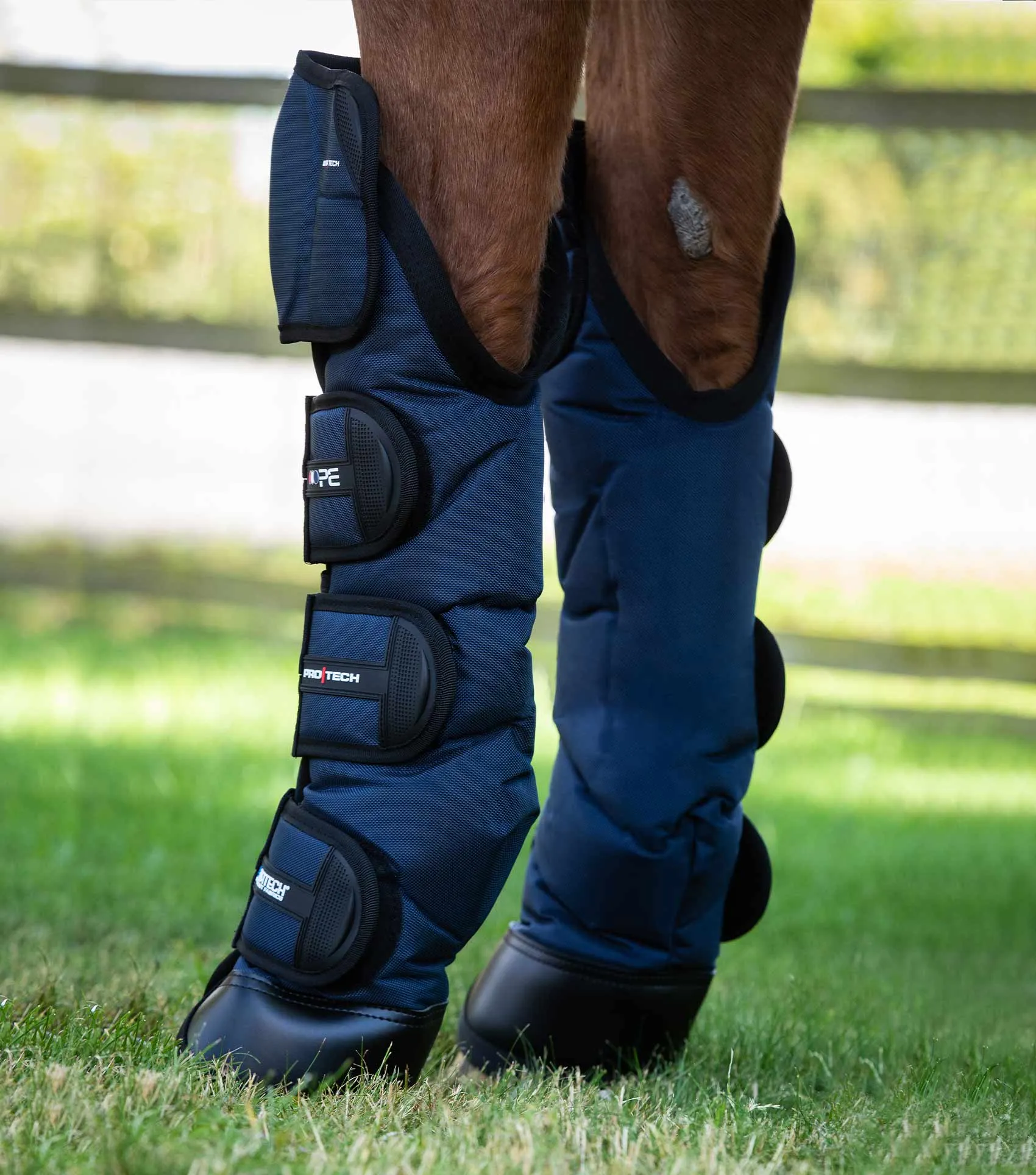 Ballistic Knee Pro-Tech Horse Travel Boots Navy