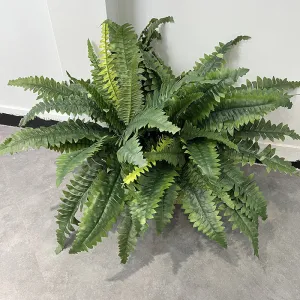 Bulk 2pcs 22 inches Tall Boston Fern Bush UV Resistant Plants for Outdoors Wholesale