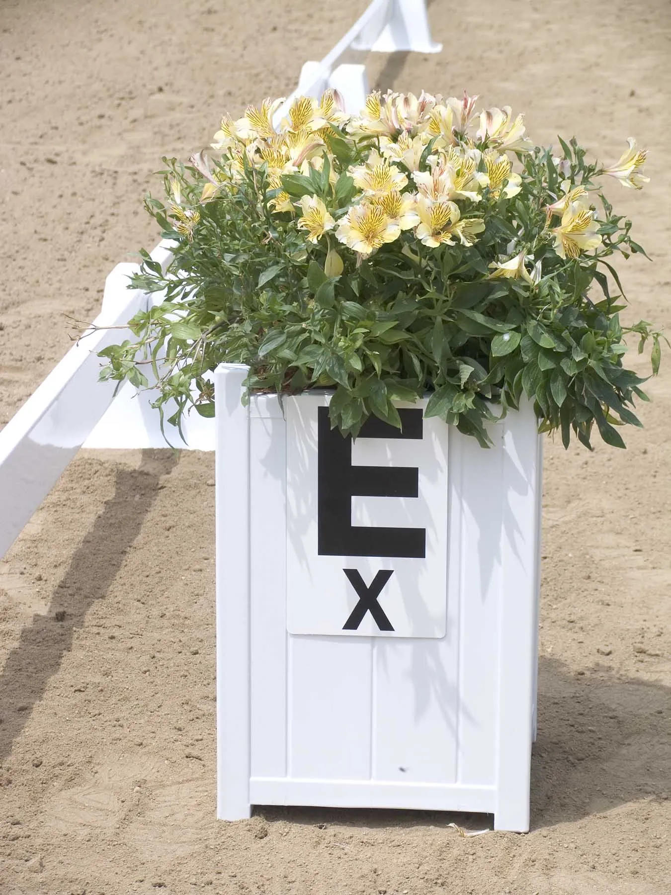 Burlingham White Arena Flower Box