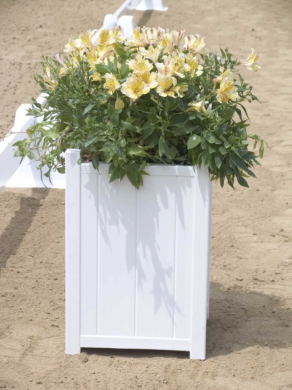 Burlingham White Arena Flower Box