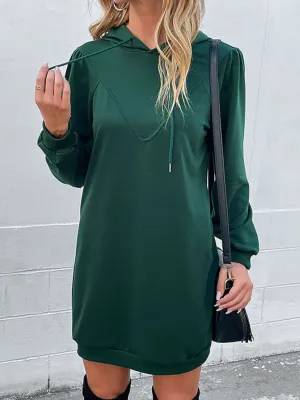 Drawstring Puff Sleeve Hooded Dress