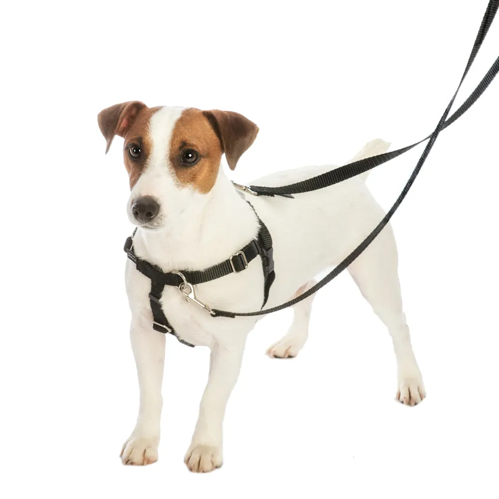 Elf Shoes Christmas EarthStyle Freedom No-Pull Dog Harness