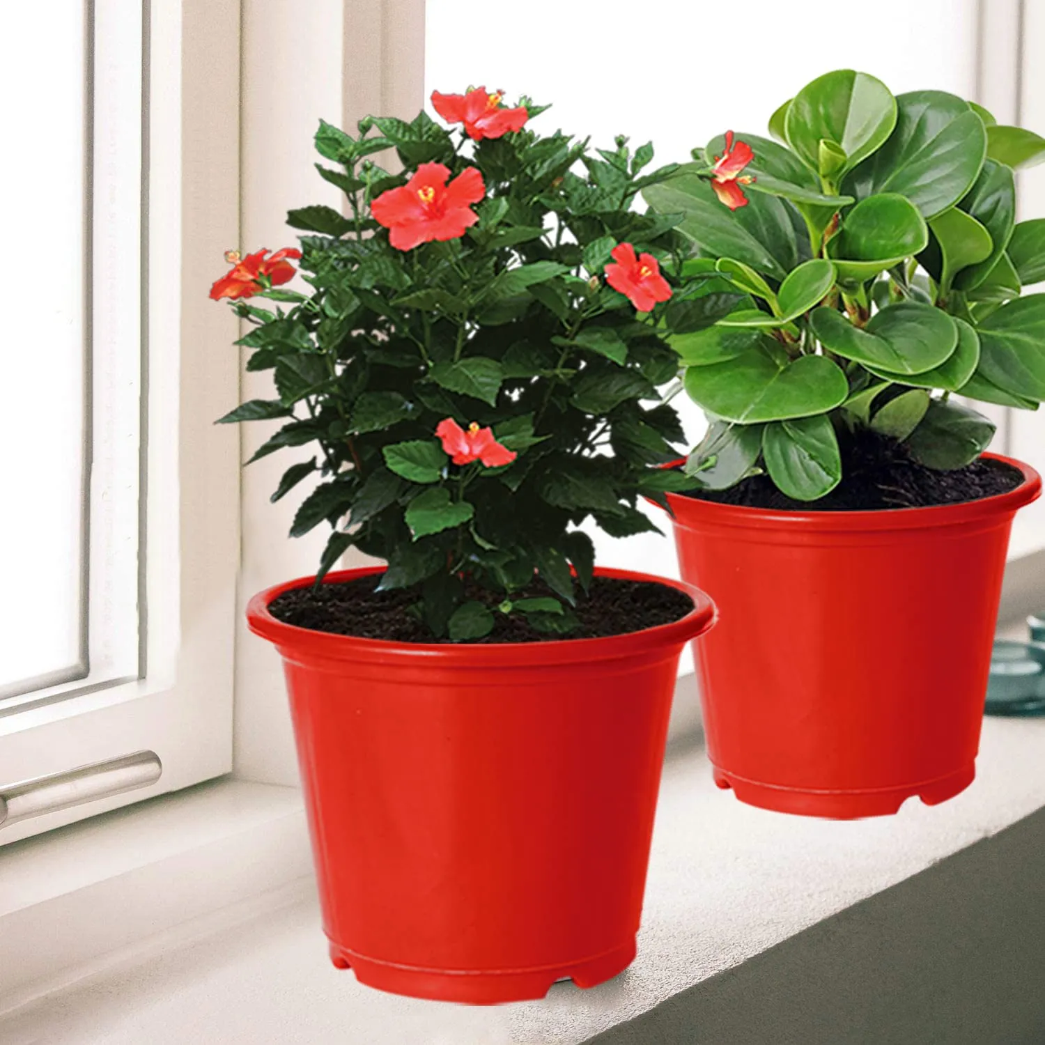 Heart Home Durable Plastic Flower Pot|Gamla with Drain Holes for Indoor Home Decor & Outdoor Balcony,Garden,6"x5",Pack of 5 (Red)