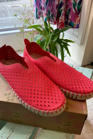 Ilse Jacobsen Tulip Shoes in Raspberry colour