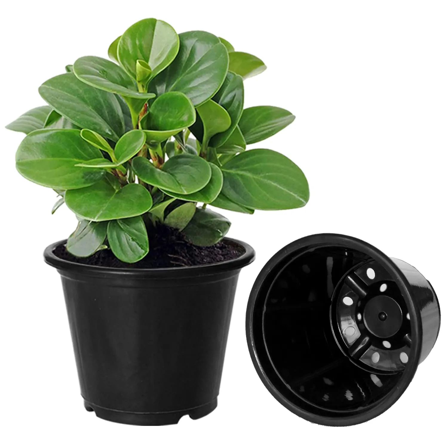 Kuber Industries Plastic Planters|Gamla|Flower Pots for Garden Nursery Home Décor,8"x6",Pack of 10 (Black)