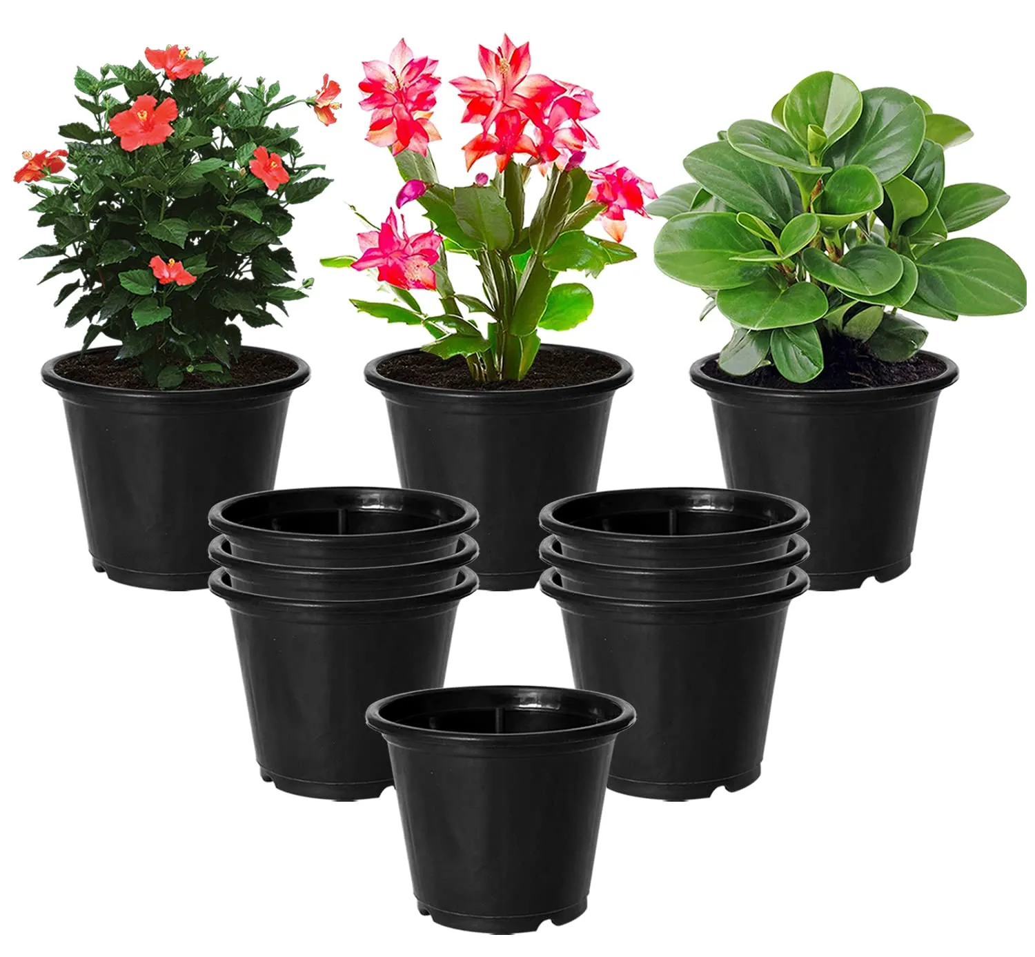 Kuber Industries Plastic Planters|Gamla|Flower Pots for Garden Nursery Home Décor,8"x6",Pack of 10 (Black)