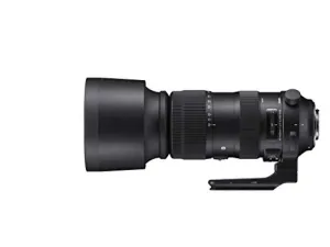 Sigma 60-600mm f/4.5-6.3 DG OS HSM Sports Lens - Canon EF