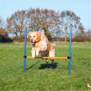 Trixie | Dog Activity | Agility Training | Plastic Hurdle